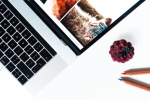 Read more about the article WordPress საიტის დამზადება – სრული გაიდი 2024